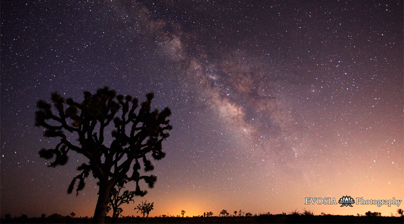 Illustration for article titled It's the middle of summer and I'm going to Joshua Tree National Park